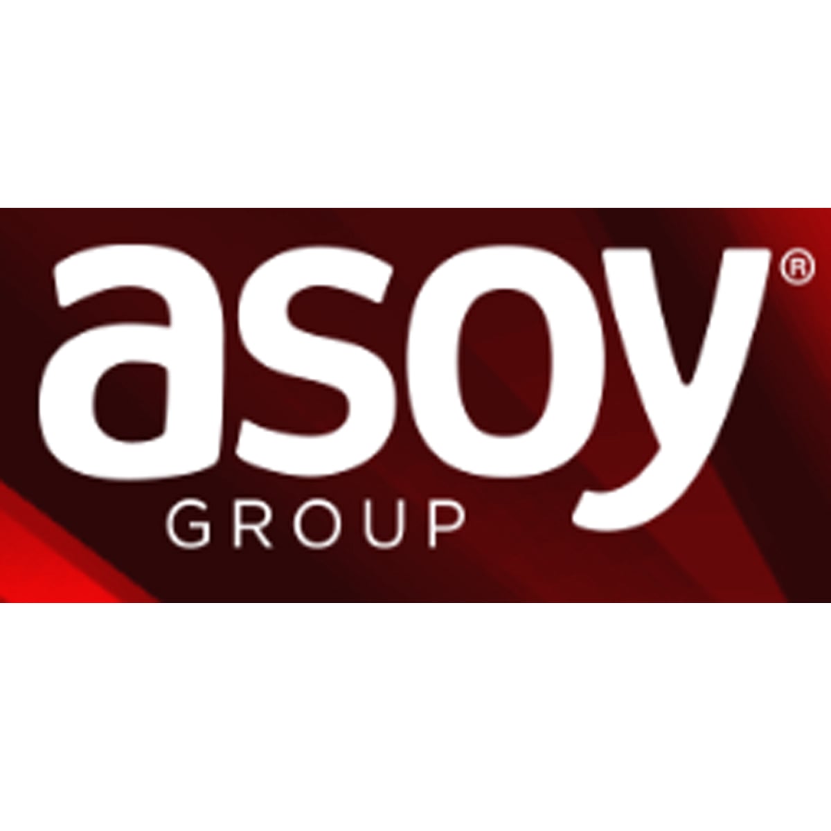 asoy inşaat logo